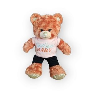 Build a‎ bear pumpkin spice